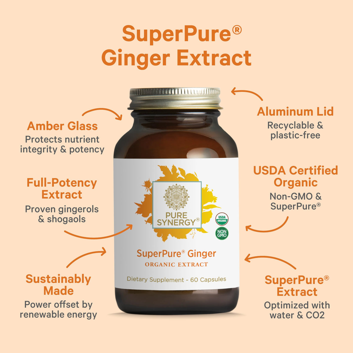 Side panel of Pure Synergy SuperPure Ginger Extract showing active gingerols ingredient facts