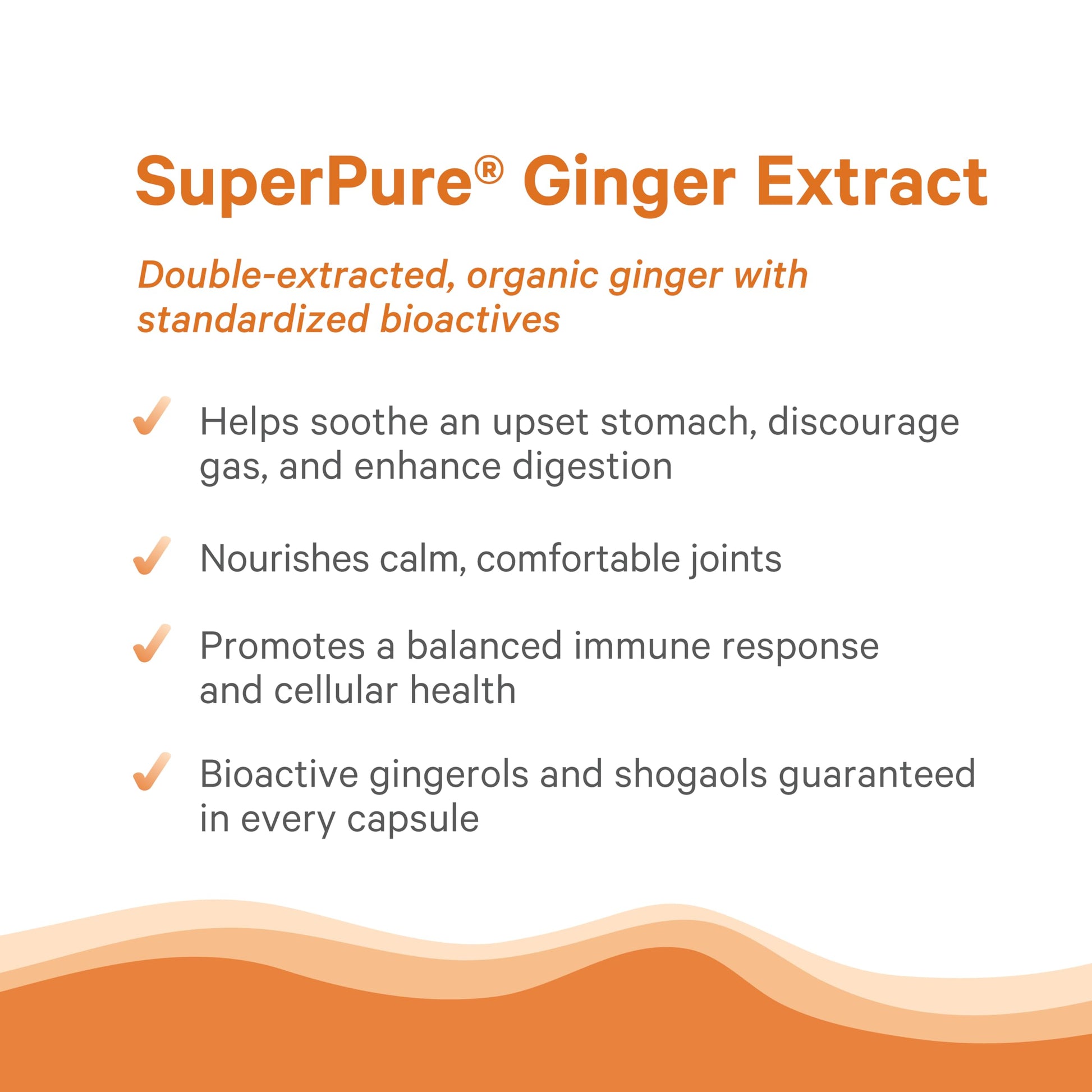 Pure Synergy organic ginger capsules container detailing vegan pullulan capsule specifications