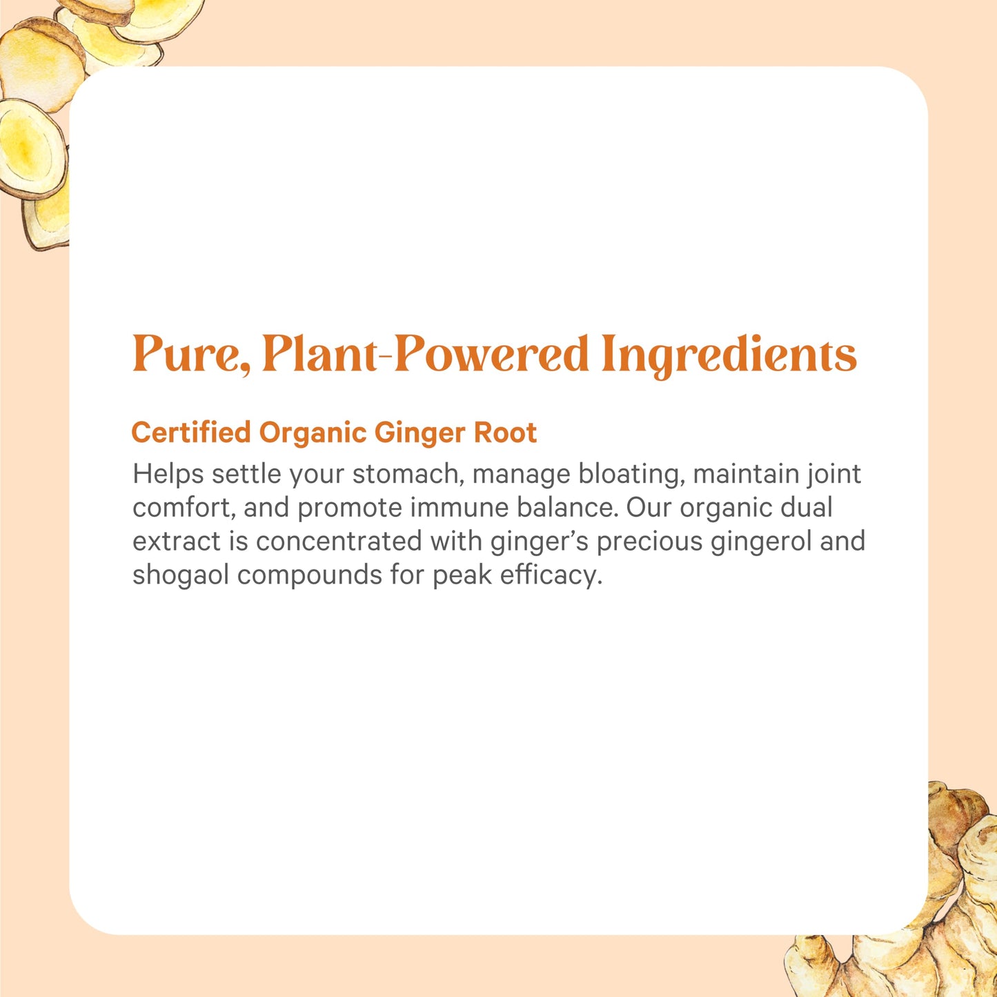 Authentic imported Pure Synergy digestive care bottle showing directions for daily usage