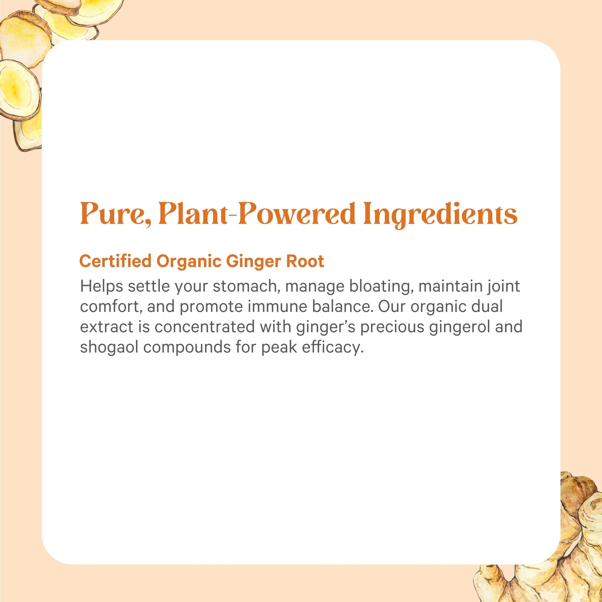 Authentic imported Pure Synergy digestive care bottle showing directions for daily usage