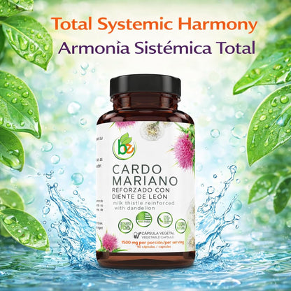 B-Experts Diente de Leon herbal blend capsules product presentation