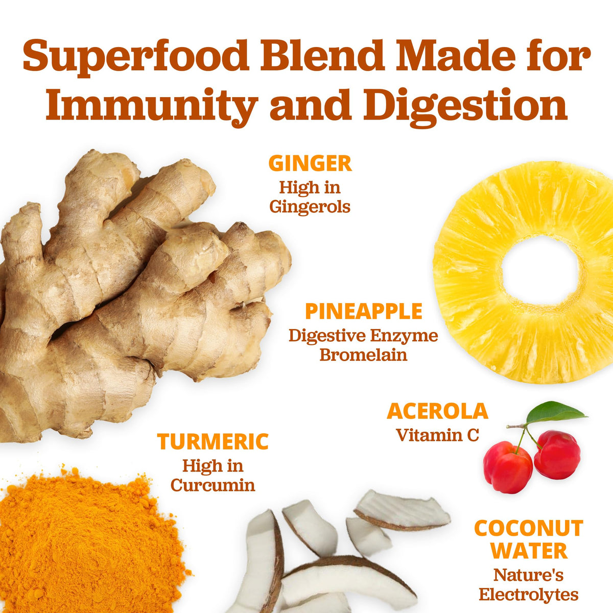 Close up view of the nutritional facts and clean organic ingredient label on the back of the superfood juice powder box.