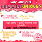 Daily adaptogen supplement for stress relief and cognitive focus showing chewable gummies