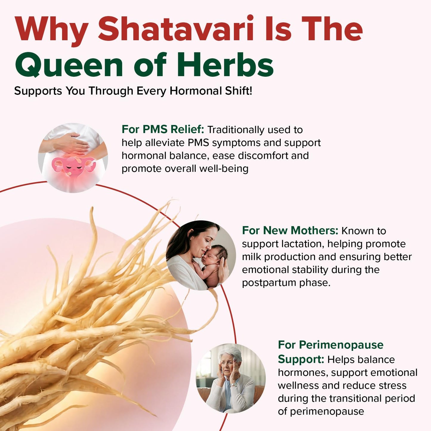 High potency Shatavari root extract vegan capsules for hormonal balance