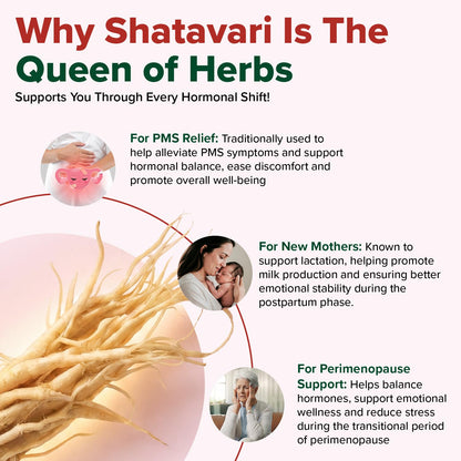 High potency Shatavari root extract vegan capsules for hormonal balance