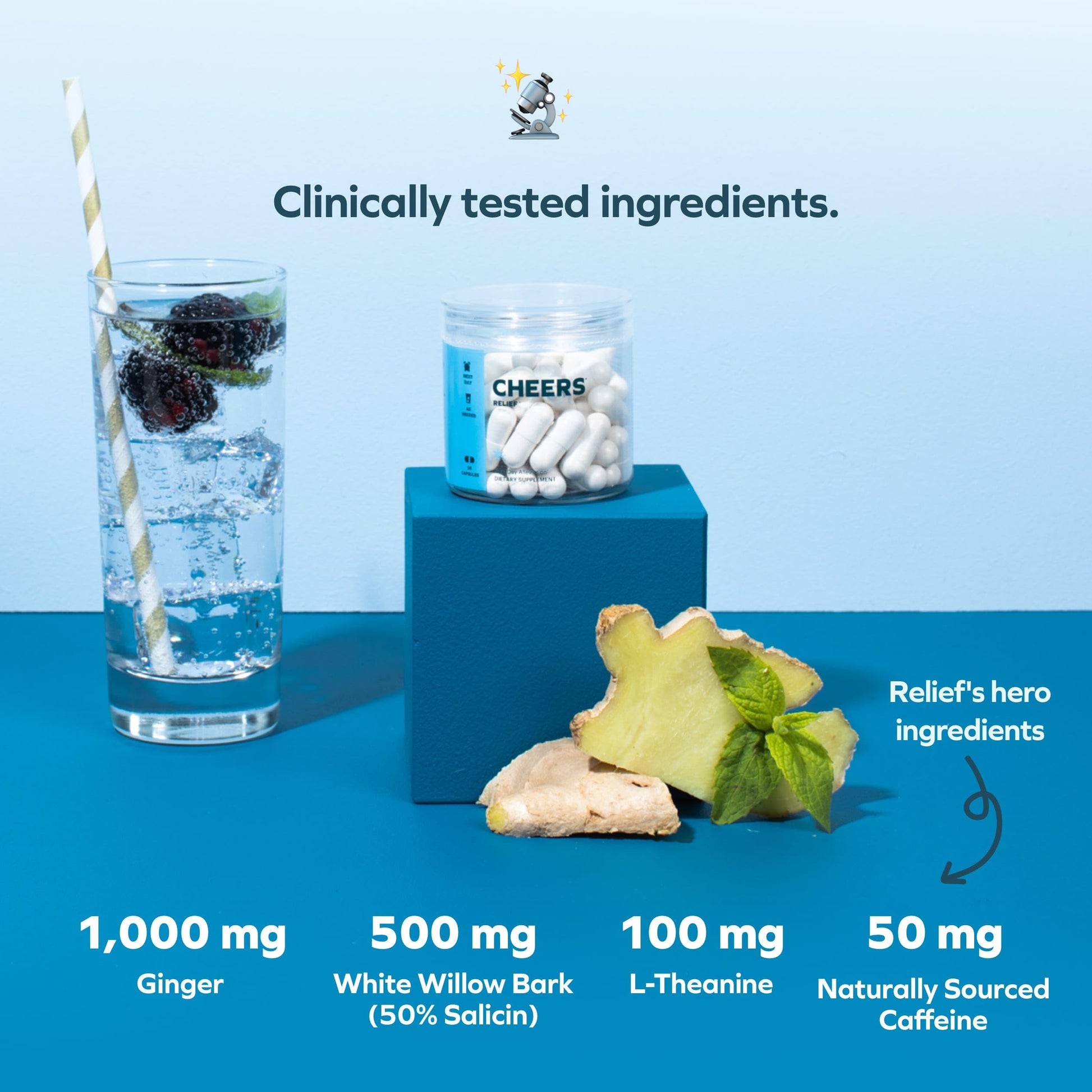 Cheers Relief premium imported recovery aid capsules for wellness support