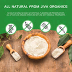 Jiva Organics organic plant based shatavari churna powder
