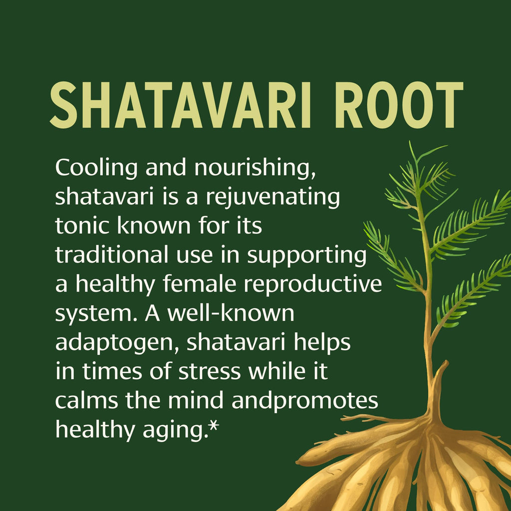 90 count bottle of Shatavari Asparagus racemosus tablets