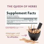 Premium imported Shatavari root extract vegan capsules for natural lactation support
