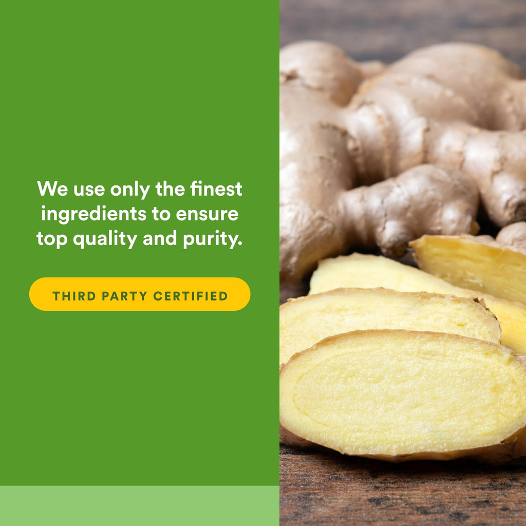 Natural Factors Chewable Ginger anti nausea herbal tablets container lid and top angle view