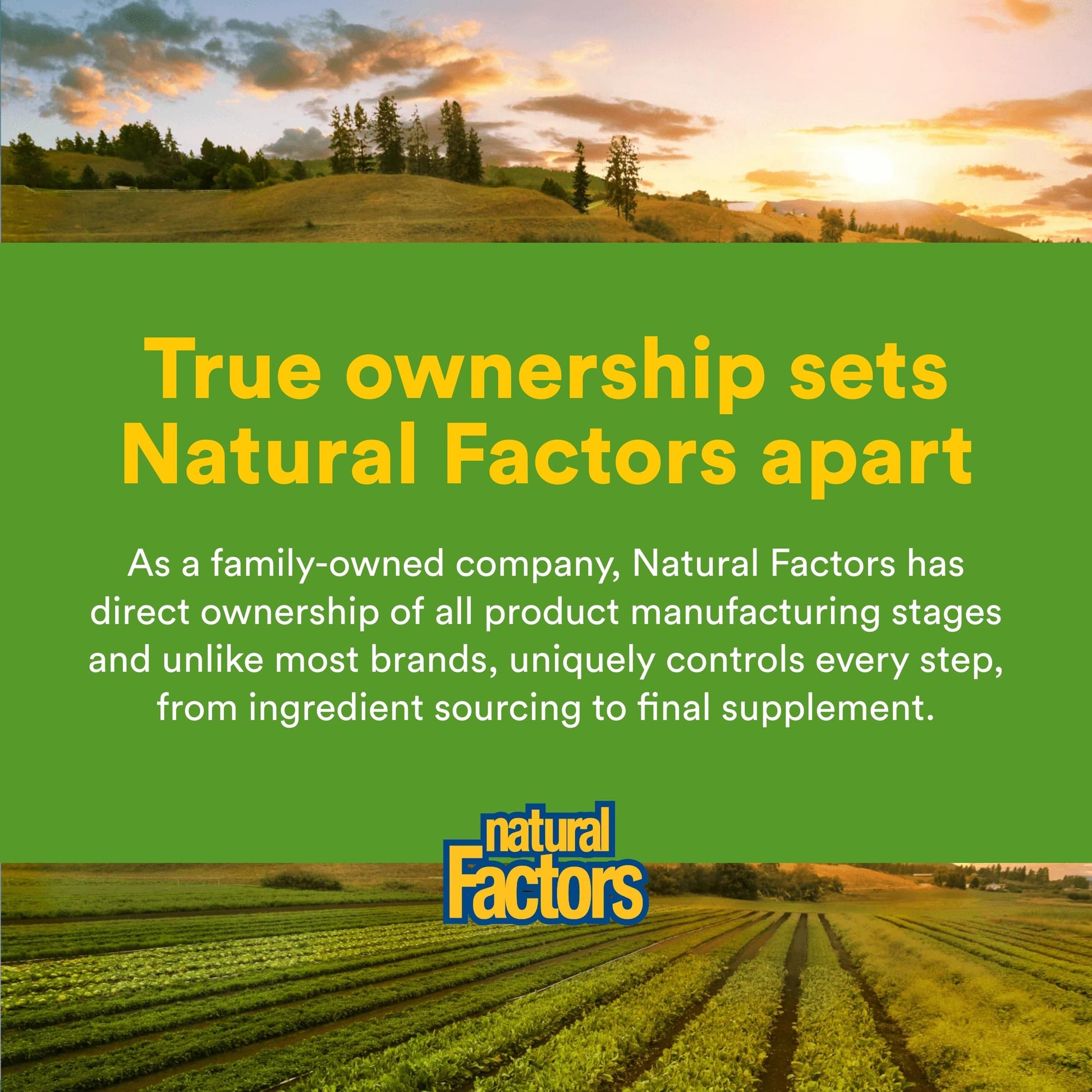 Natural Factors Chewable Ginger 90 count bottle with tamper evident safety seal packaging