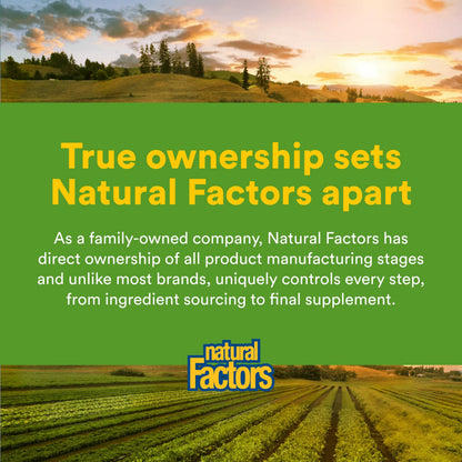 Natural Factors Chewable Ginger 90 count bottle with tamper evident safety seal packaging