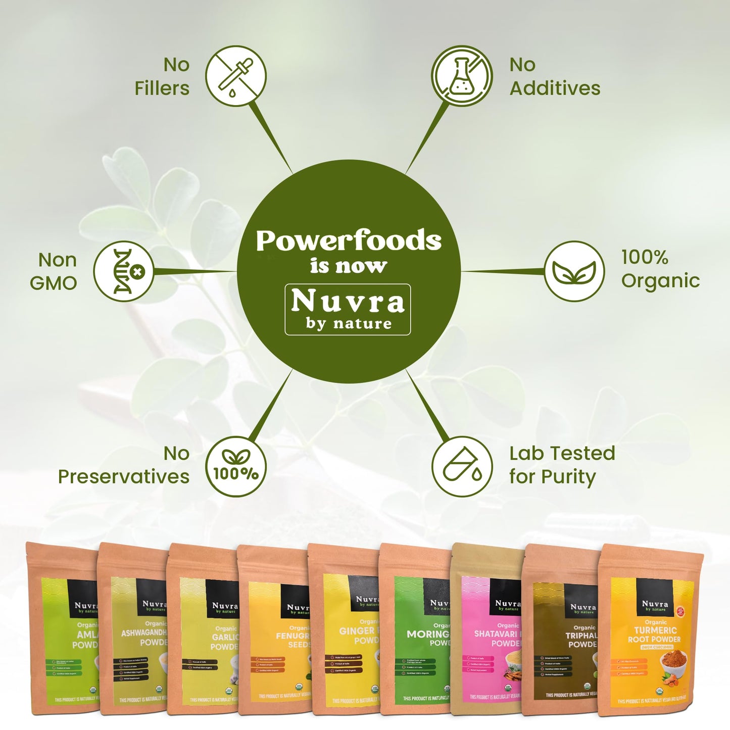 Organic Shatavari herbal powder for PCOS and menopause management imported by Rudra Retails