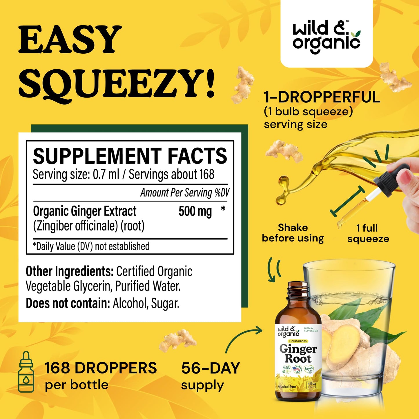 Alcohol free ginger tincture dropper mechanism showing liquid extract clarity