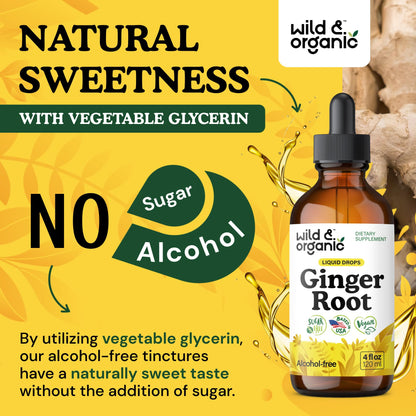 Premium imported USA ginger root liquid tincture for natural nausea relief