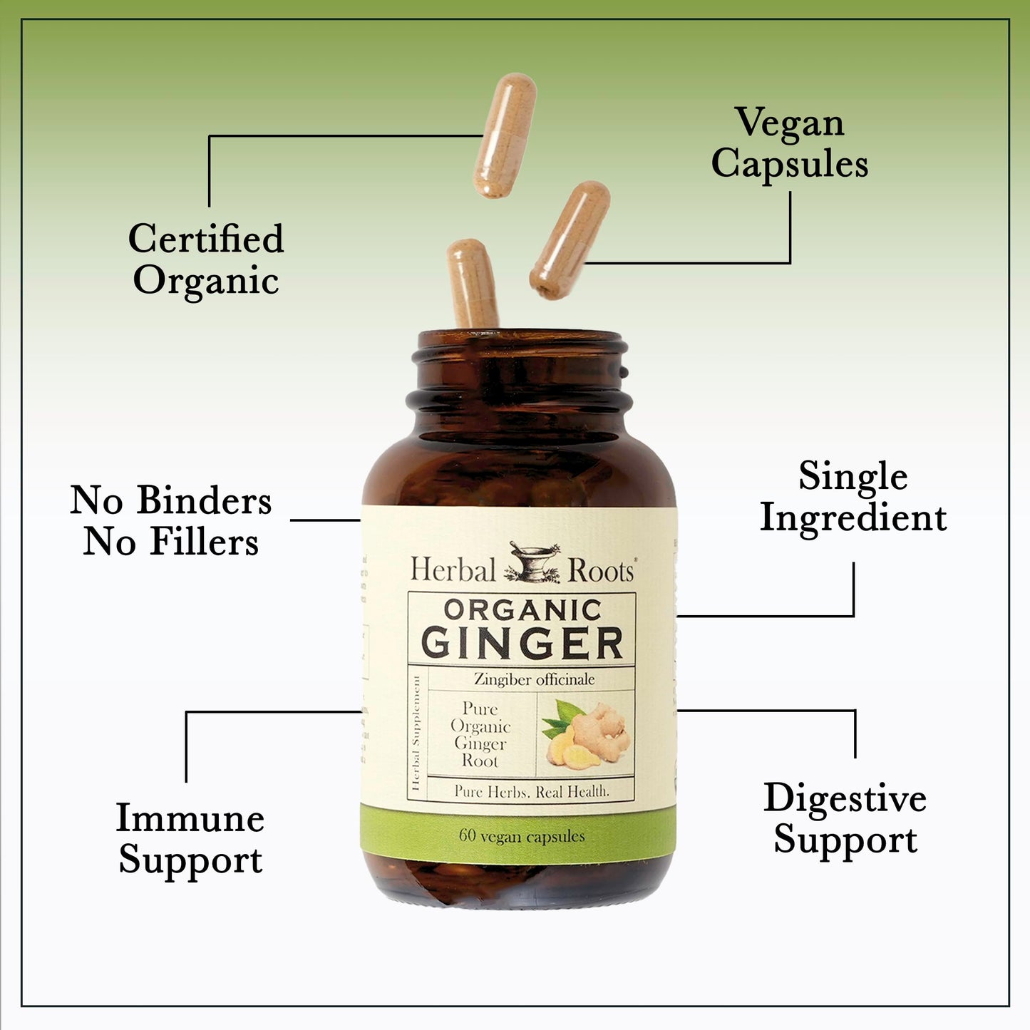 Herbal Roots pure ginger supplement glass bottle showing non GMO and gluten free logos