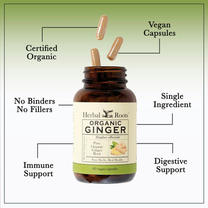 Herbal Roots pure ginger supplement glass bottle showing non GMO and gluten free logos