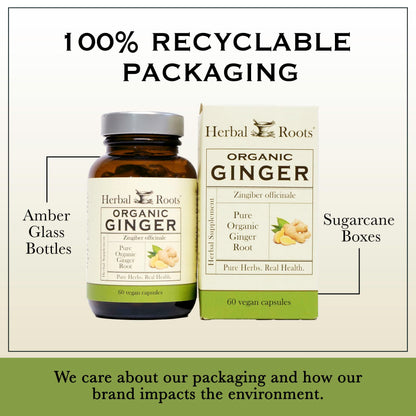 Two vegan ginger root capsules next to the Herbal Roots amber packaging bottle