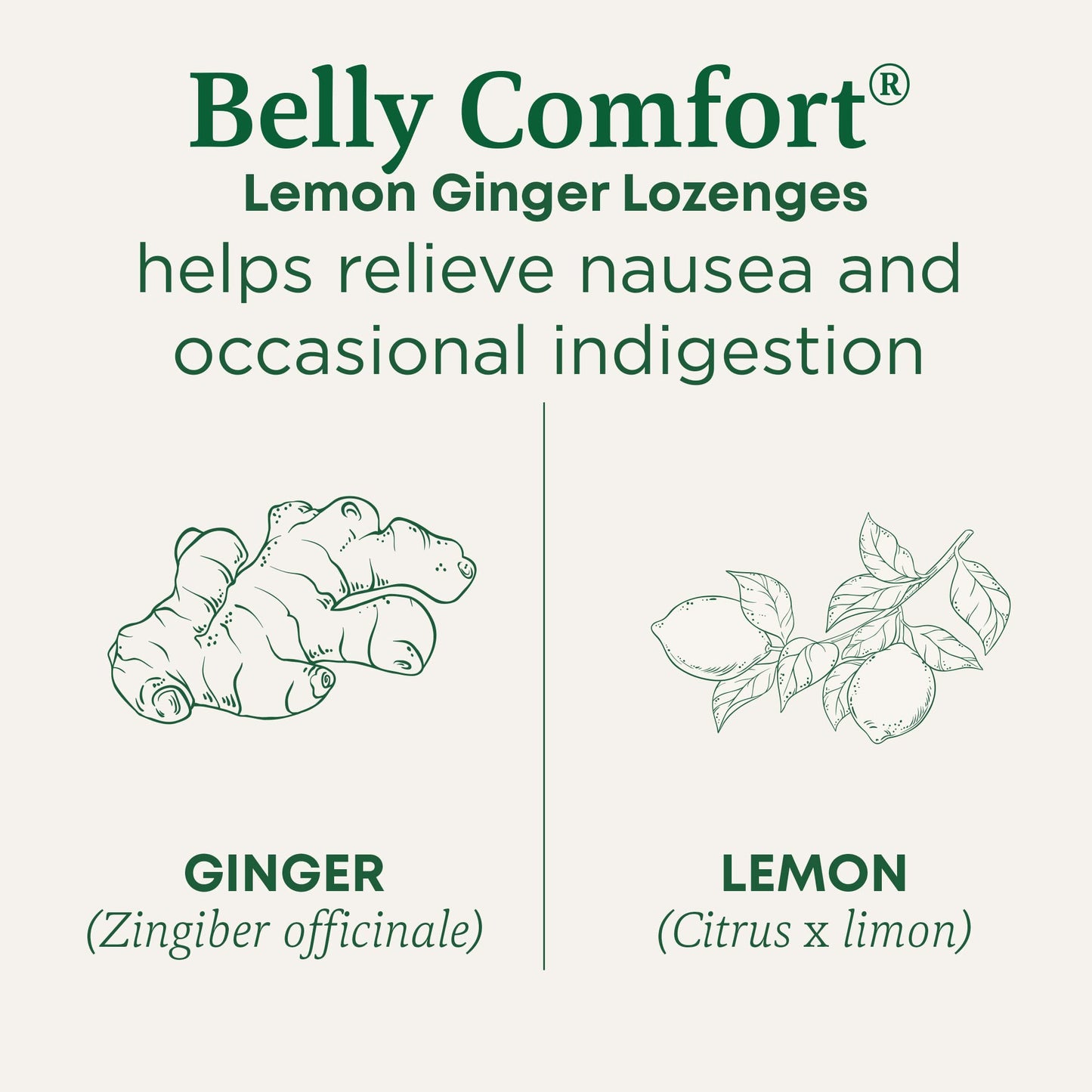 Traditional Medicinals ginger lozenges individually wrapped pieces outside the packaging