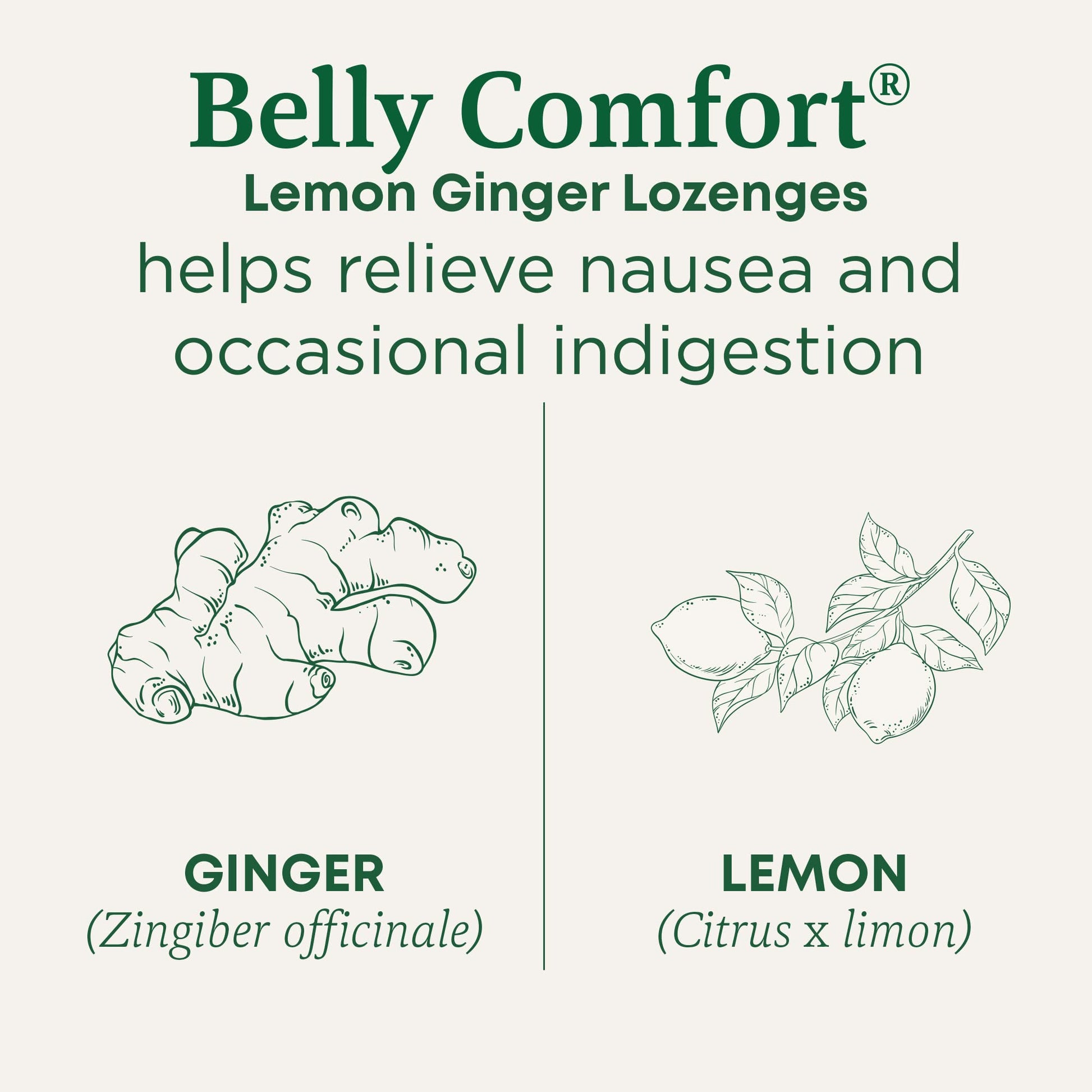 Traditional Medicinals ginger lozenges individually wrapped pieces outside the packaging