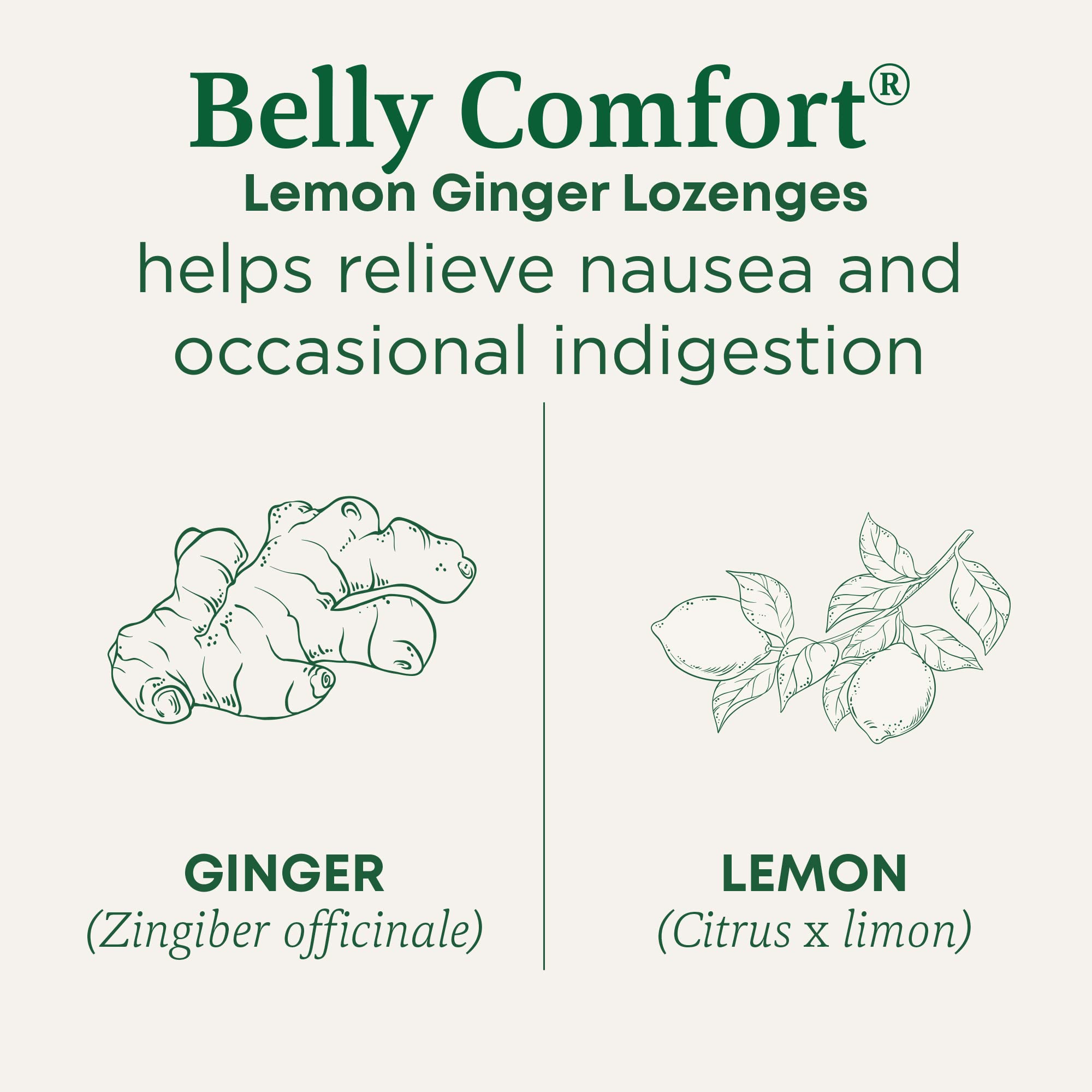 Traditional Medicinals ginger lozenges individually wrapped pieces outside the packaging