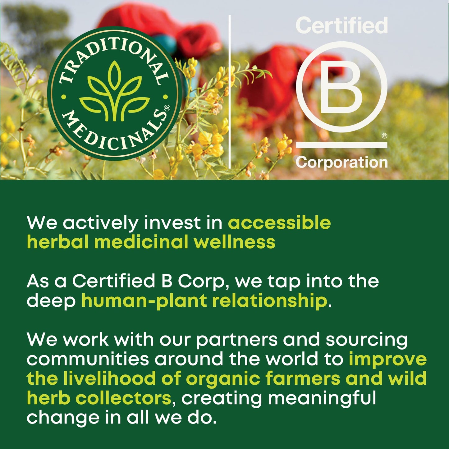 Close up of the USDA Organic and Non GMO seals on Traditional Medicinals product package