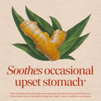 Authentic imported USA ginger root capsules for motion sickness relief.