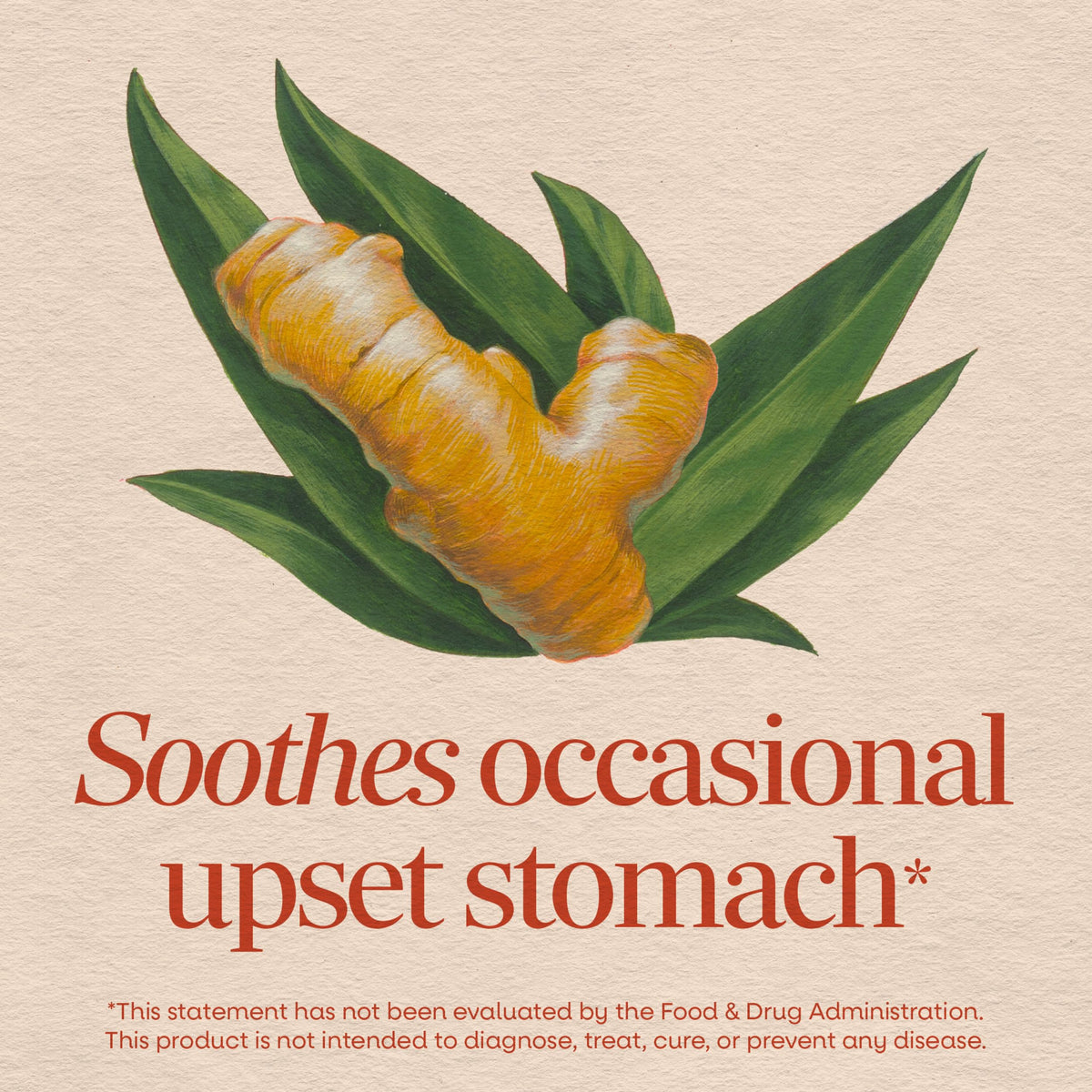 Authentic imported USA ginger root capsules for motion sickness relief.