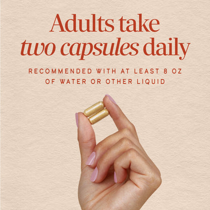 Close up of vegan capsules containing premium ginger root powder.