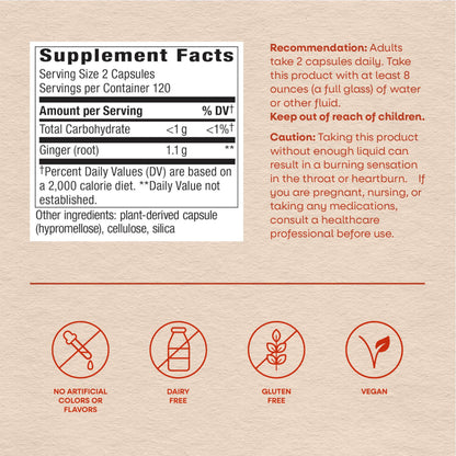 Nature's Way ginger root daily gastrointestinal support bottle label details.
