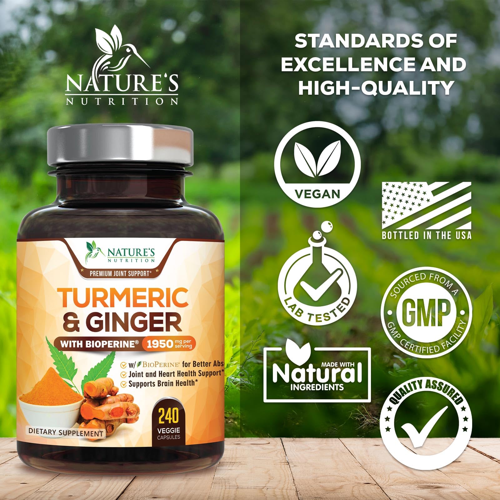 Nature's Nutrition Turmeric Curcumin 240 capsules container showing non-GMO and vegan seals