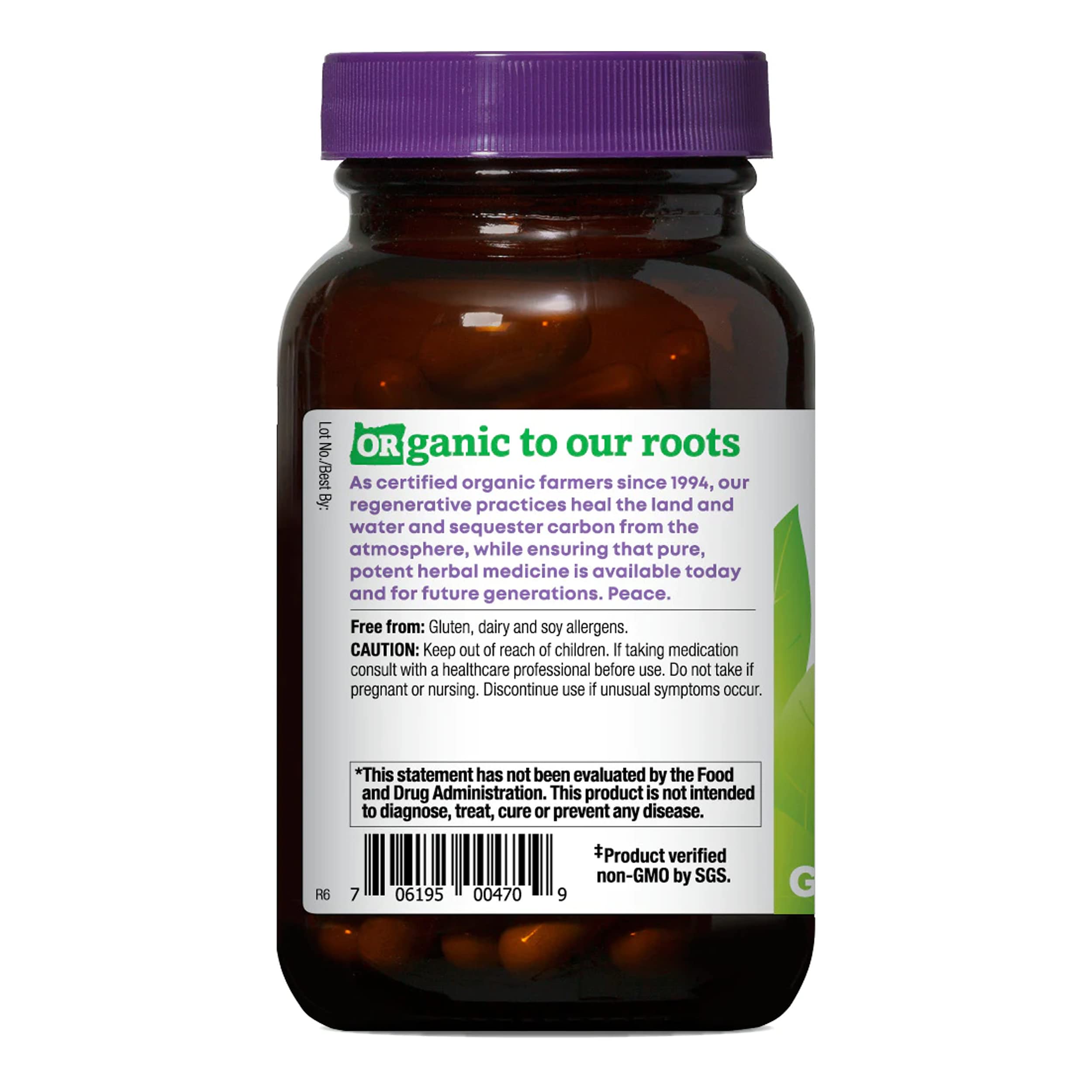Oregon's Wild Harvest brain and memory supplement vegan capsules ingredient label.