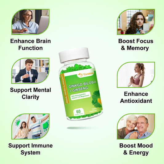 VZOXAINS 240mg Ginkgo Biloba supplement bottle showing nutritional facts label