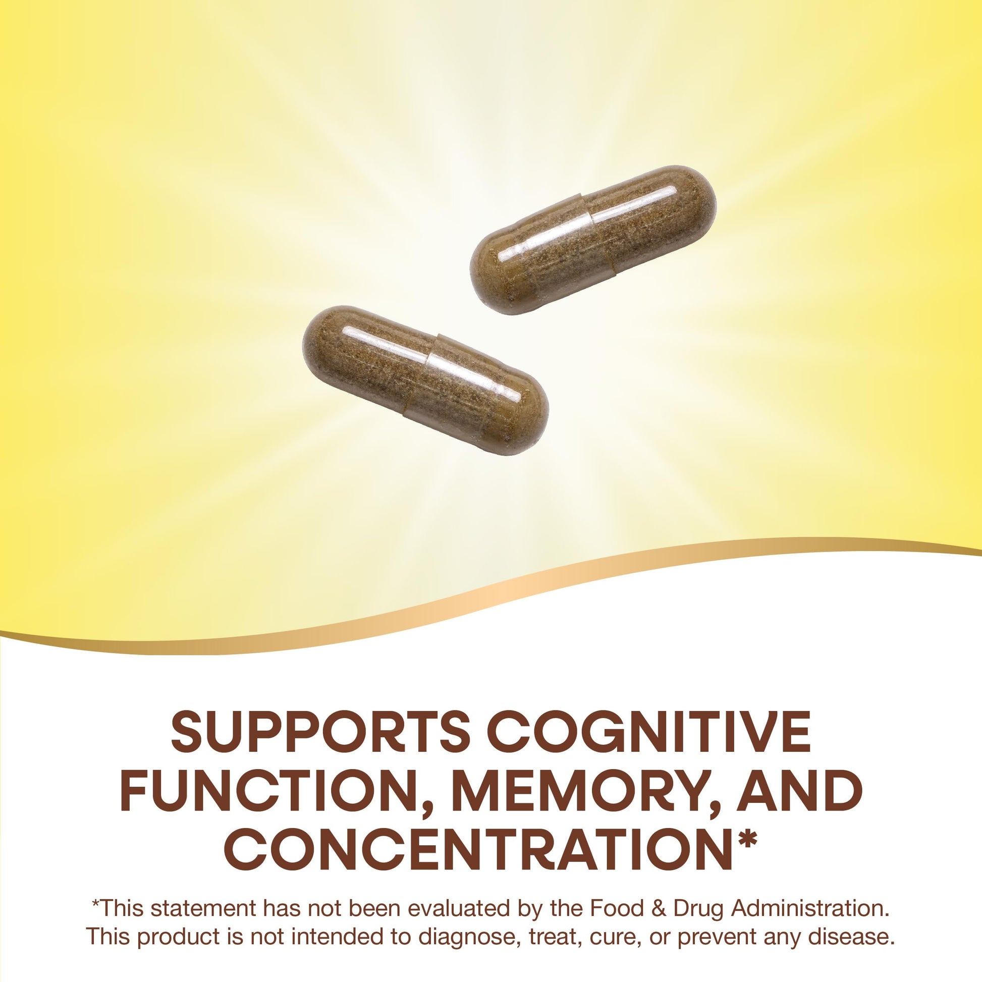 Supplement facts panel of Nature's Way Ginkgo Premium Extract vegan capsules