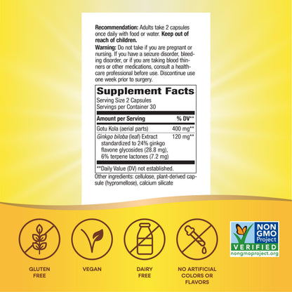 Nature's Way Ginkgo Premium Extract bottle showing Non-GMO and gluten-free labels