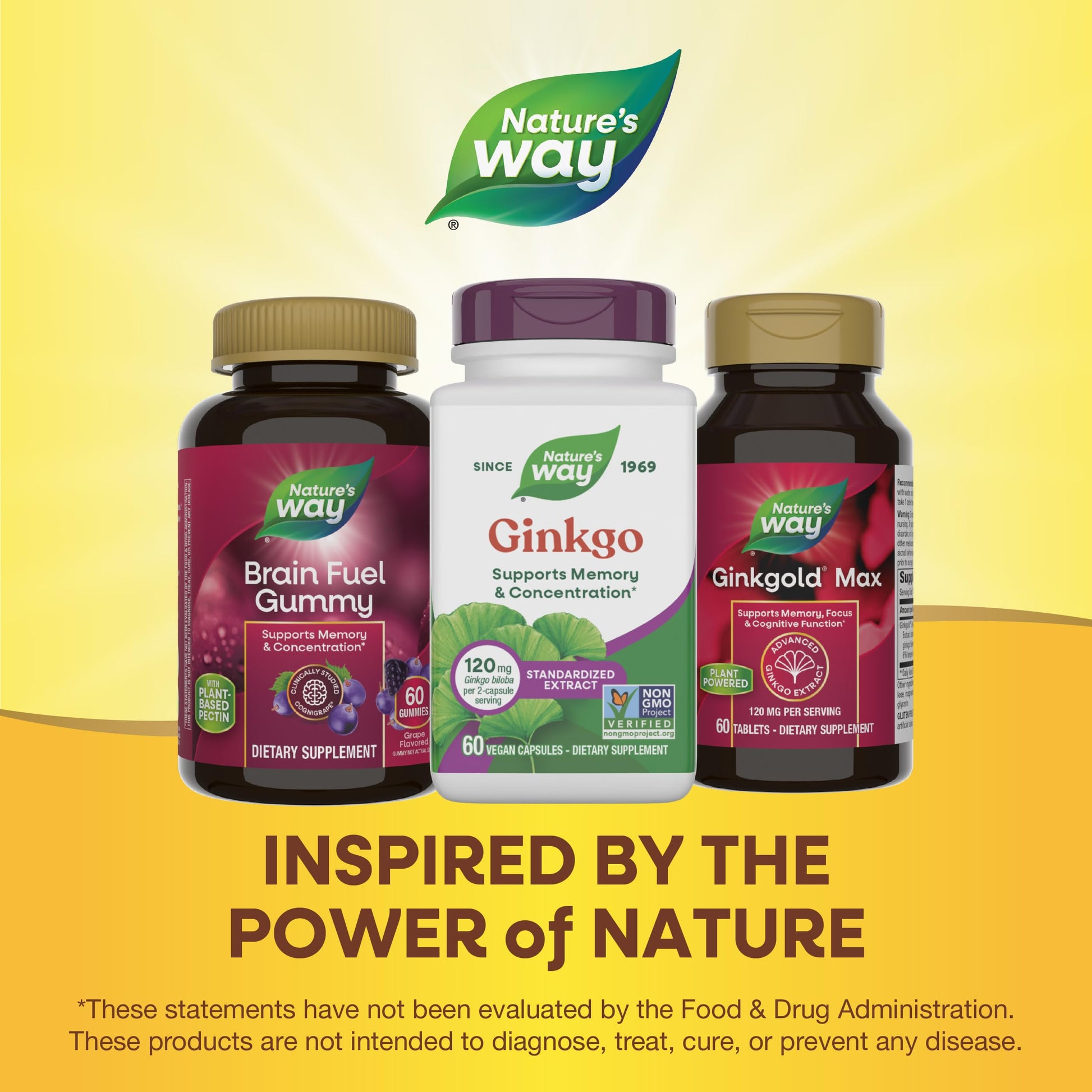 Nature's Way Ginkgo 60 capsules packaging highlighting healthy circulation benefits