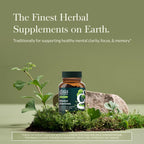 Gaia Herbs Brain Support supplement bottle showing supplement facts and ingredient list