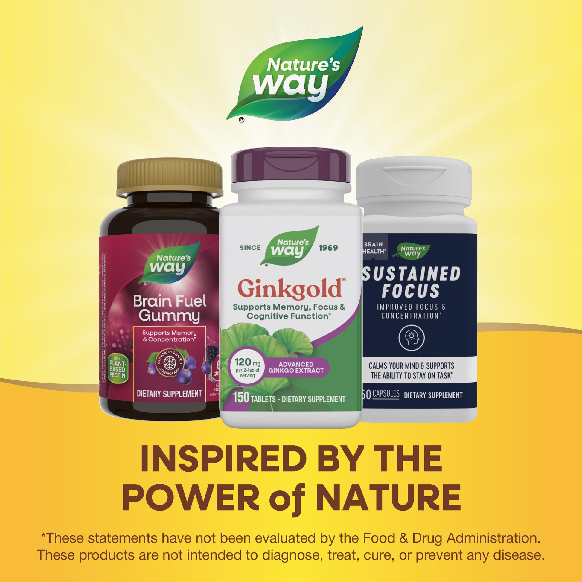 Full layout of Nature's Way Ginkgold 150 tablets bottle emphasizing its brain circulation benefits