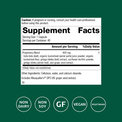 Standard Process Ginkgo Synergy bottle showing ingredient benefits like Ginkgo biloba and grape seed extract.