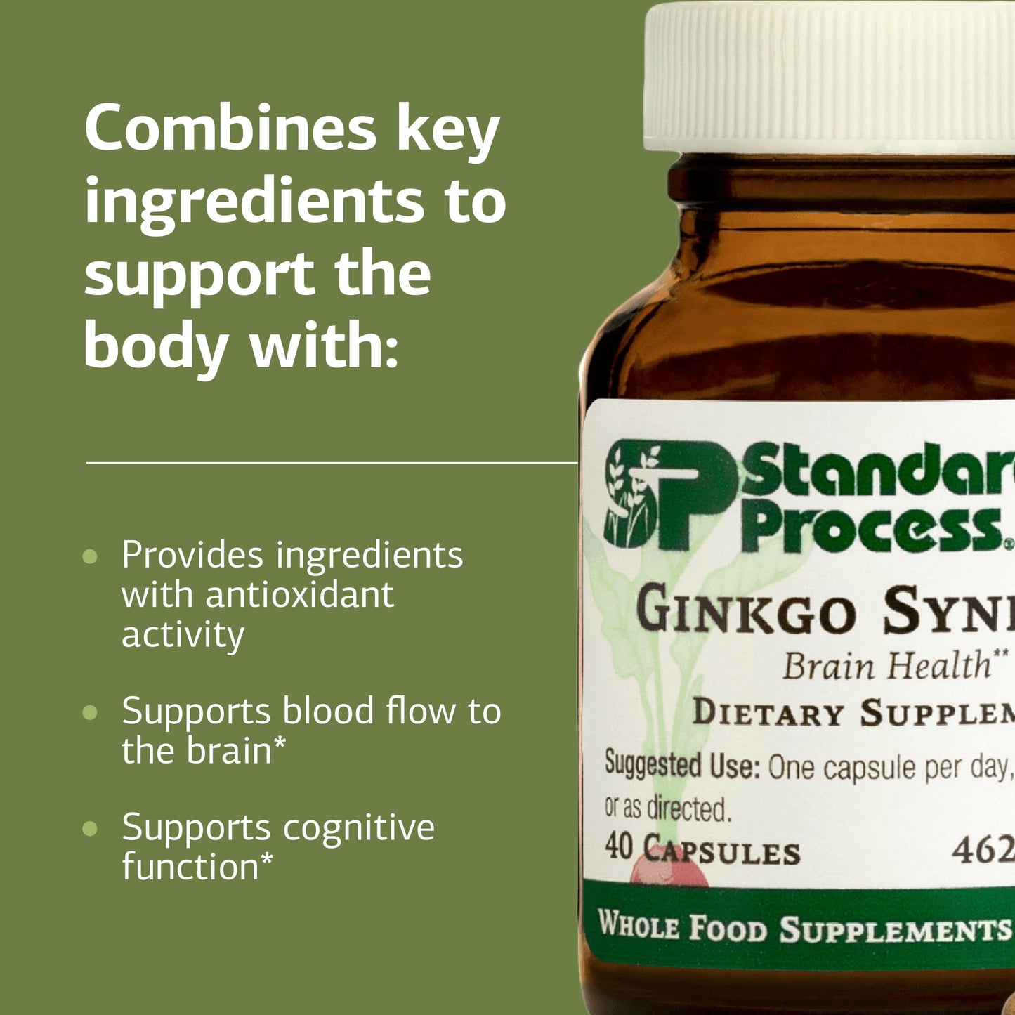 Side profile of Standard Process Ginkgo Synergy 40 capsules supplement highlighting cognitive health features.