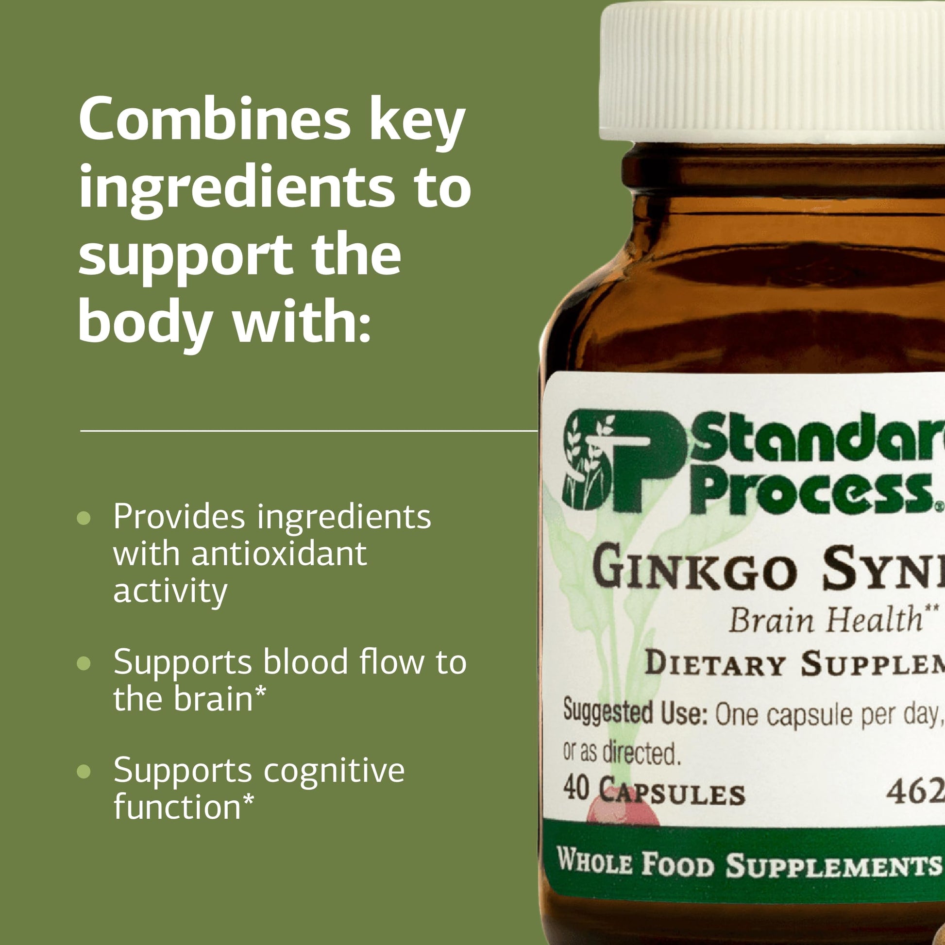 Side profile of Standard Process Ginkgo Synergy 40 capsules supplement highlighting cognitive health features.
