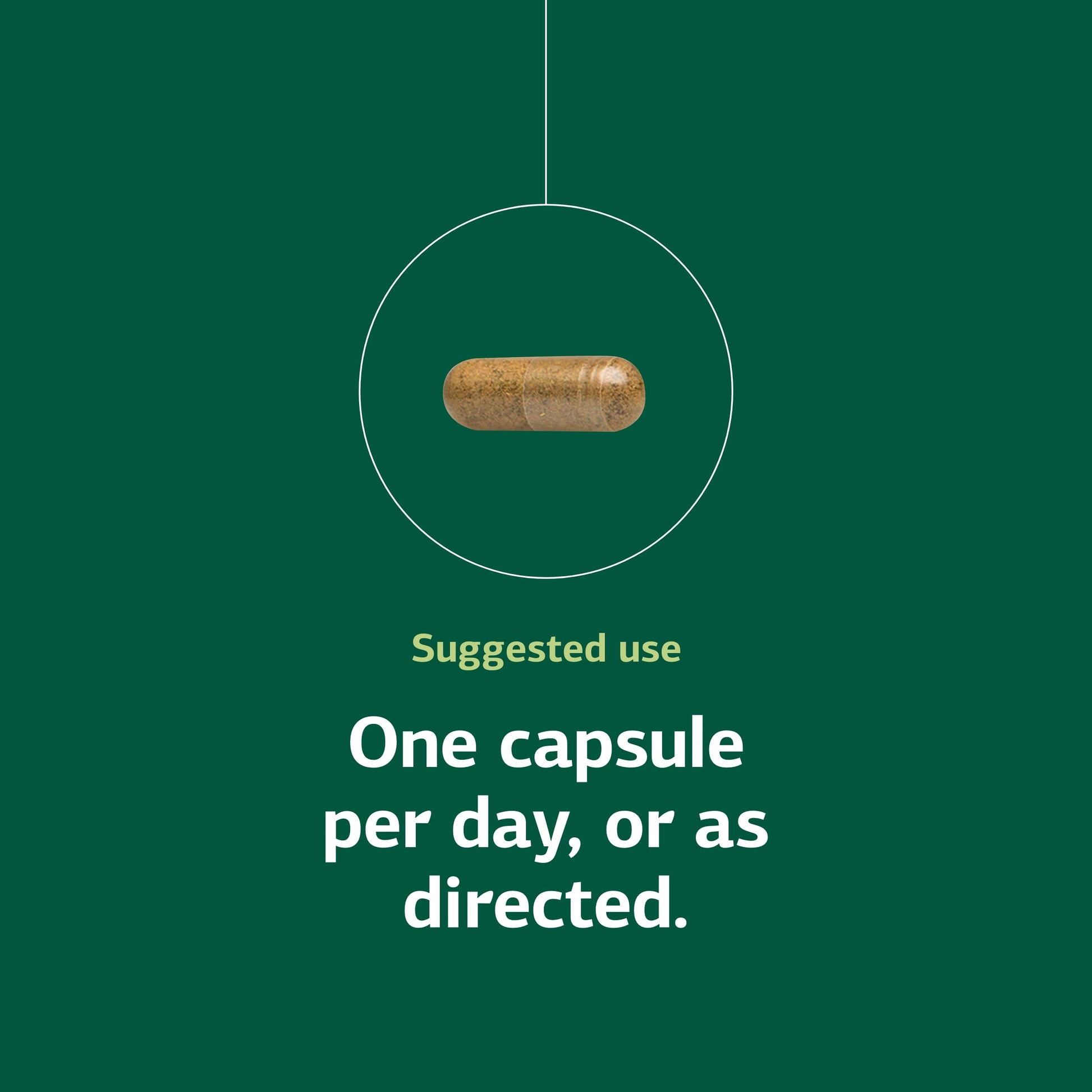 Supplement facts panel of Standard Process Ginkgo Synergy brain health capsules.
