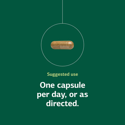 Supplement facts panel of Standard Process Ginkgo Synergy brain health capsules.