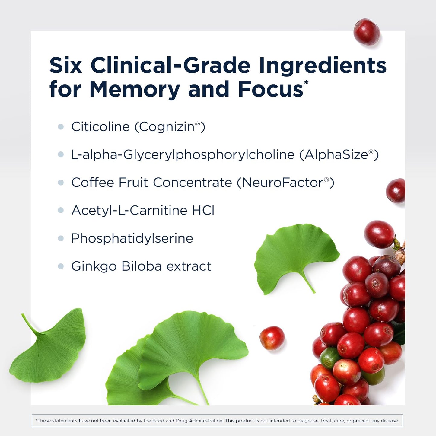 Authentic Designs for Health Brain Vitale vegetarian capsules bottle for memory and focus support