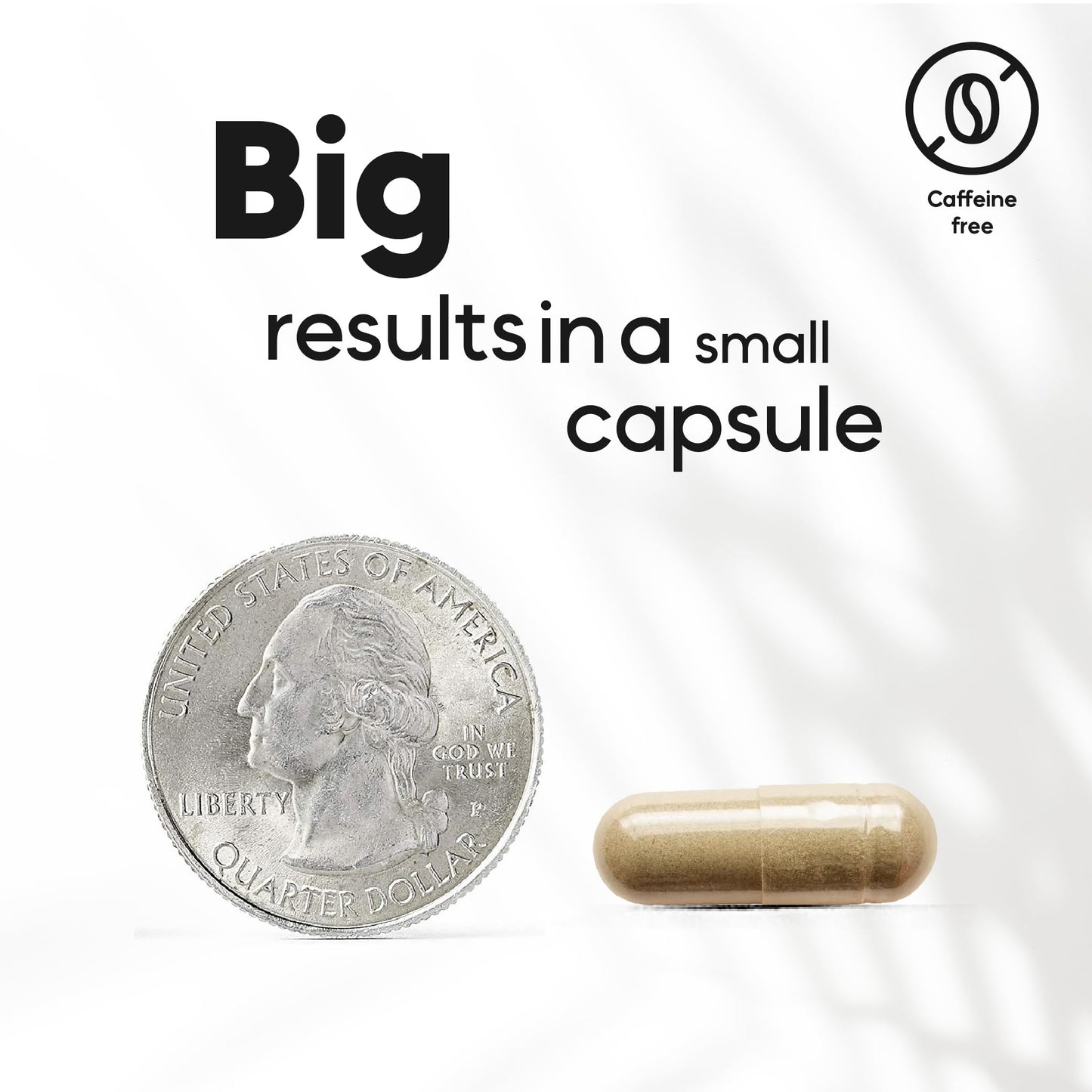 Three month supply bottle of Kaitamin 90 vegan capsules
