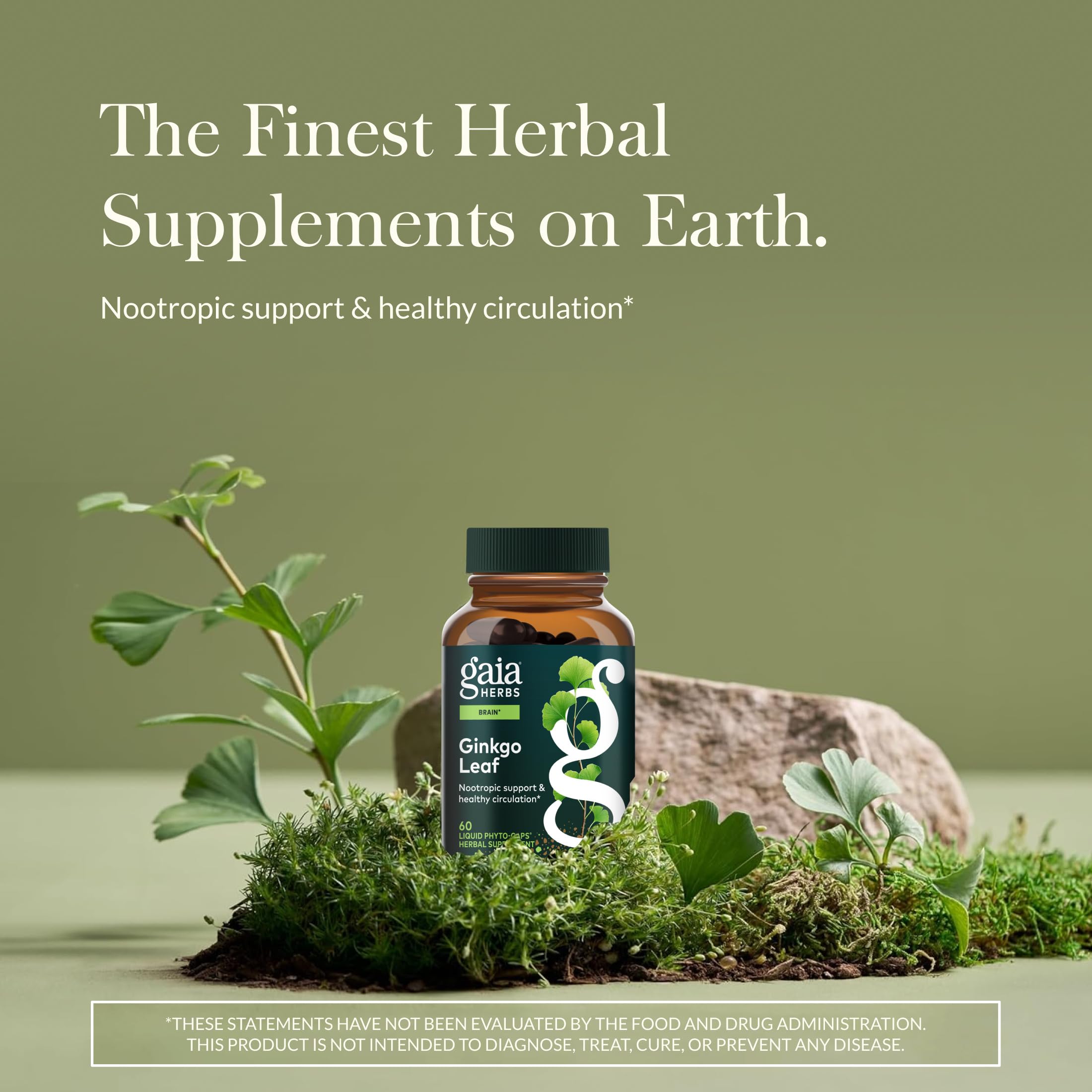 Gaia Herbs Ginkgo Leaf supplement bottle showing the organic ingredients and directions label.