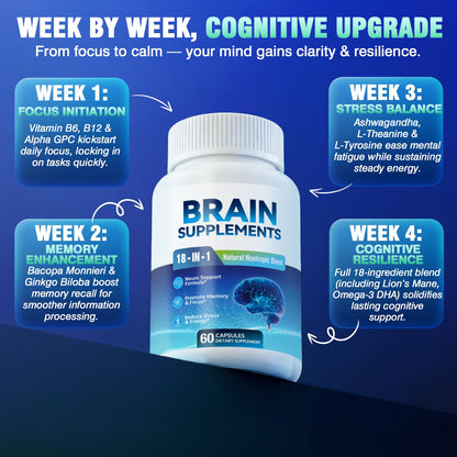 Fenolutra daily cognitive support supplement vegan capsules for mental clarity