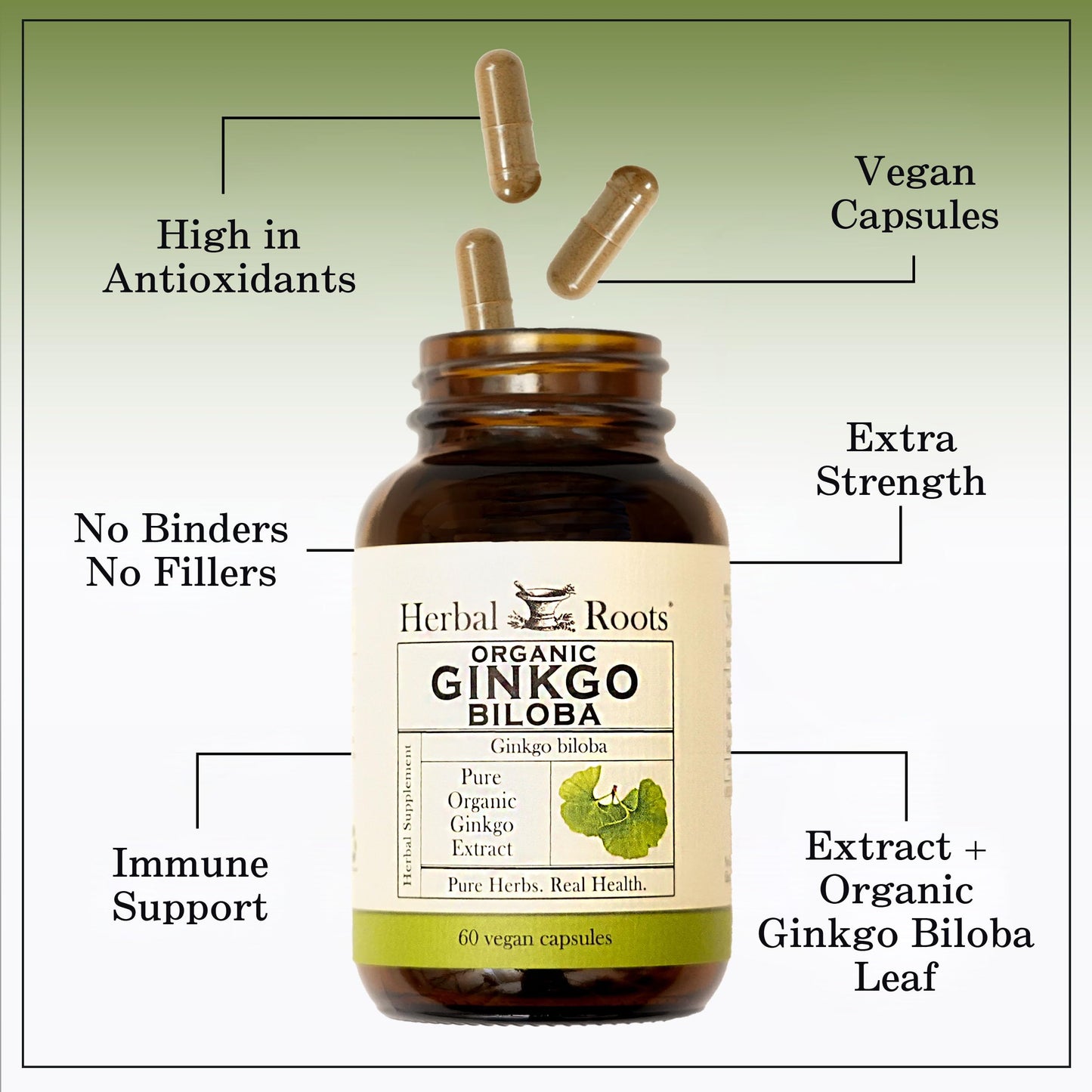 Organic ginkgo leaf extract capsules by Herbal Roots for cognitive support and memory.