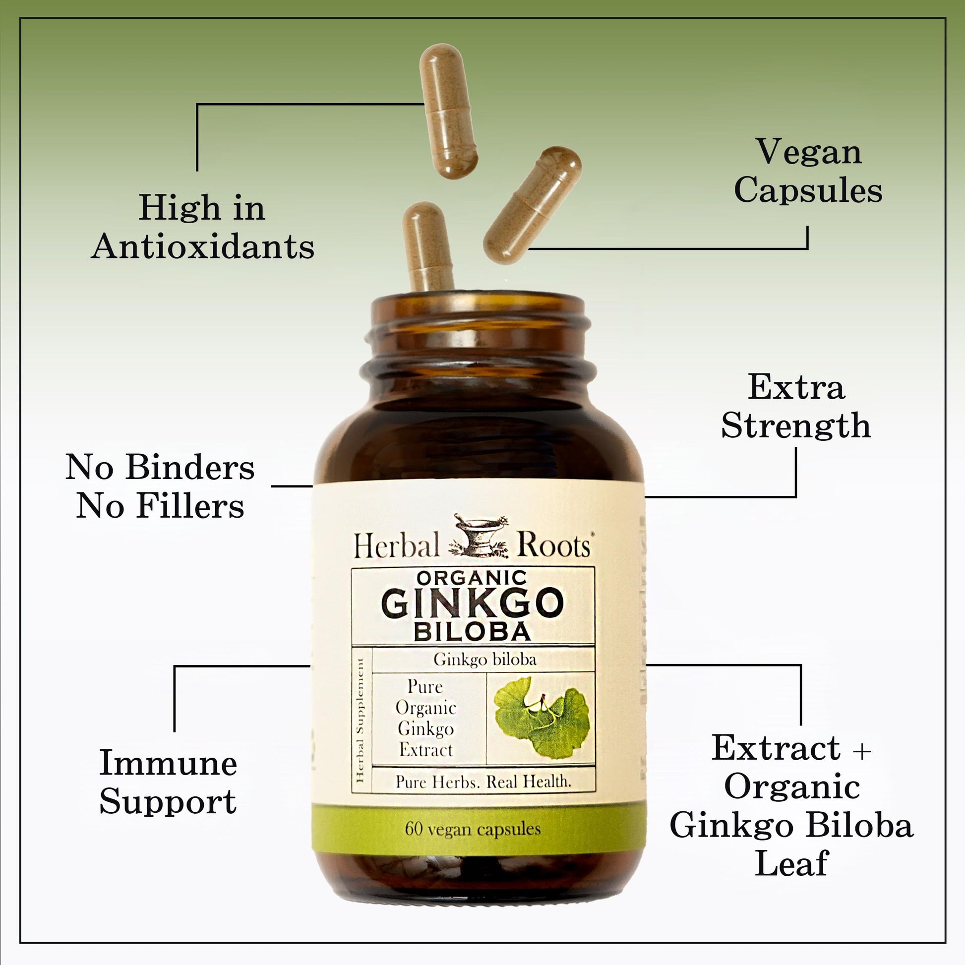 Organic ginkgo leaf extract capsules by Herbal Roots for cognitive support and memory.