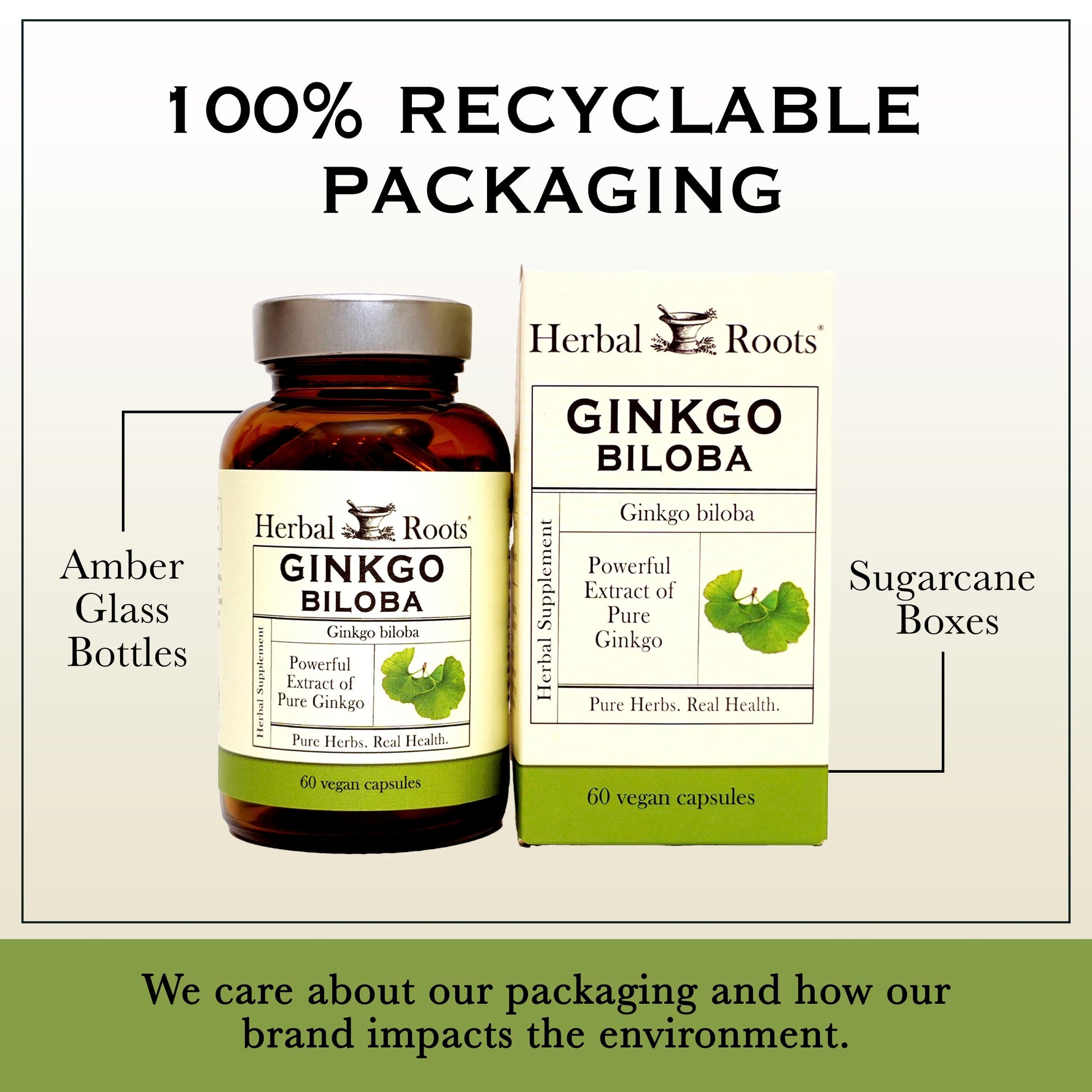 Authentic imported Herbal Roots Ginkgo Biloba vegan capsules for mental alertness.